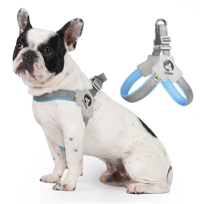 Adjustable Dog Harness for Small Medium Dogs