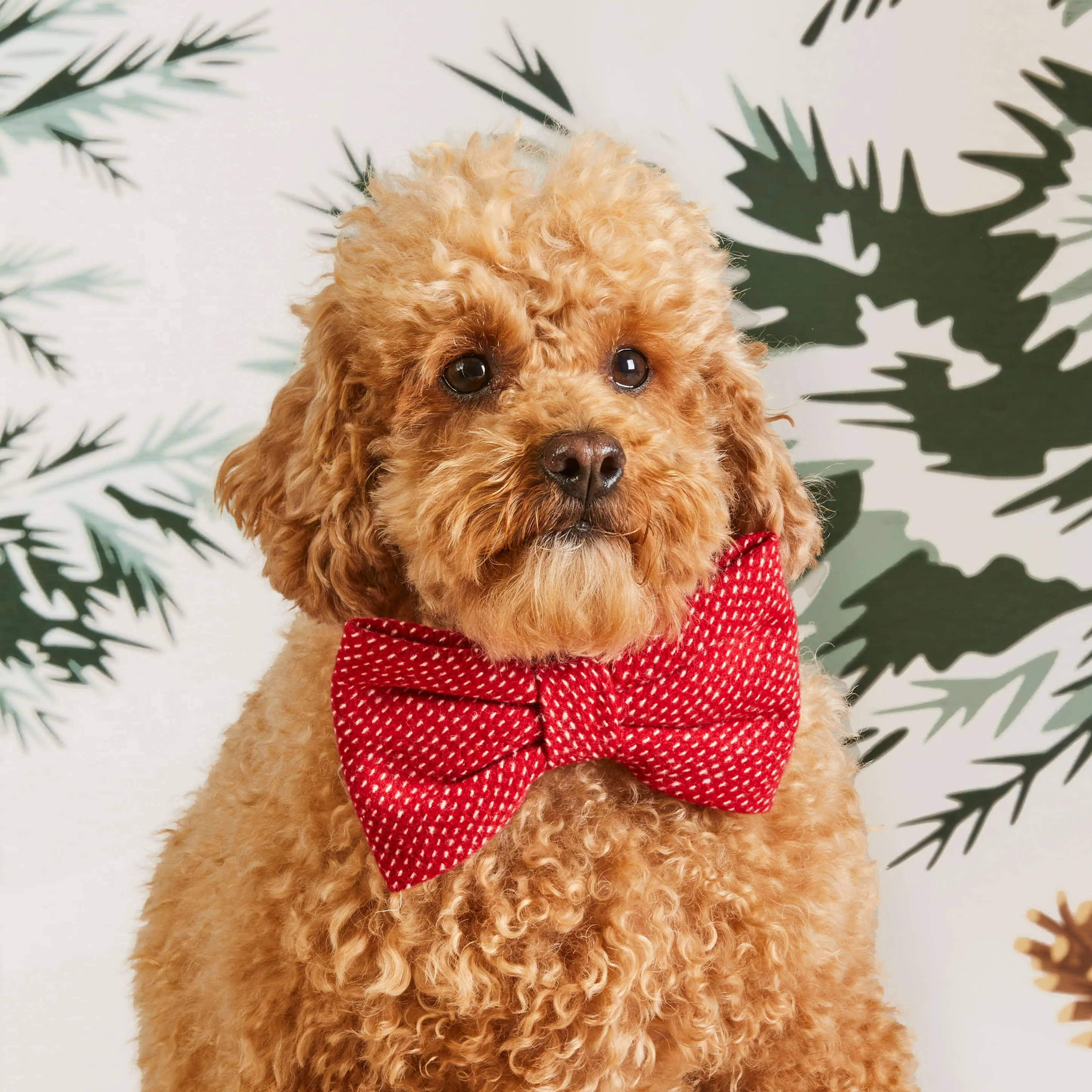 Berry Stitch Flannel Bow Tie Collar