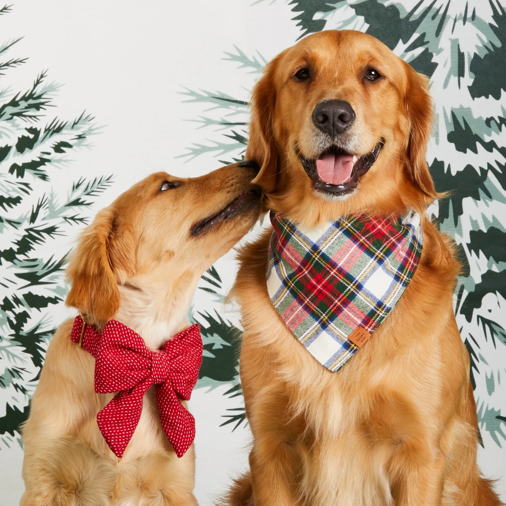 Berry Stitch Flannel Lady Dog Bow