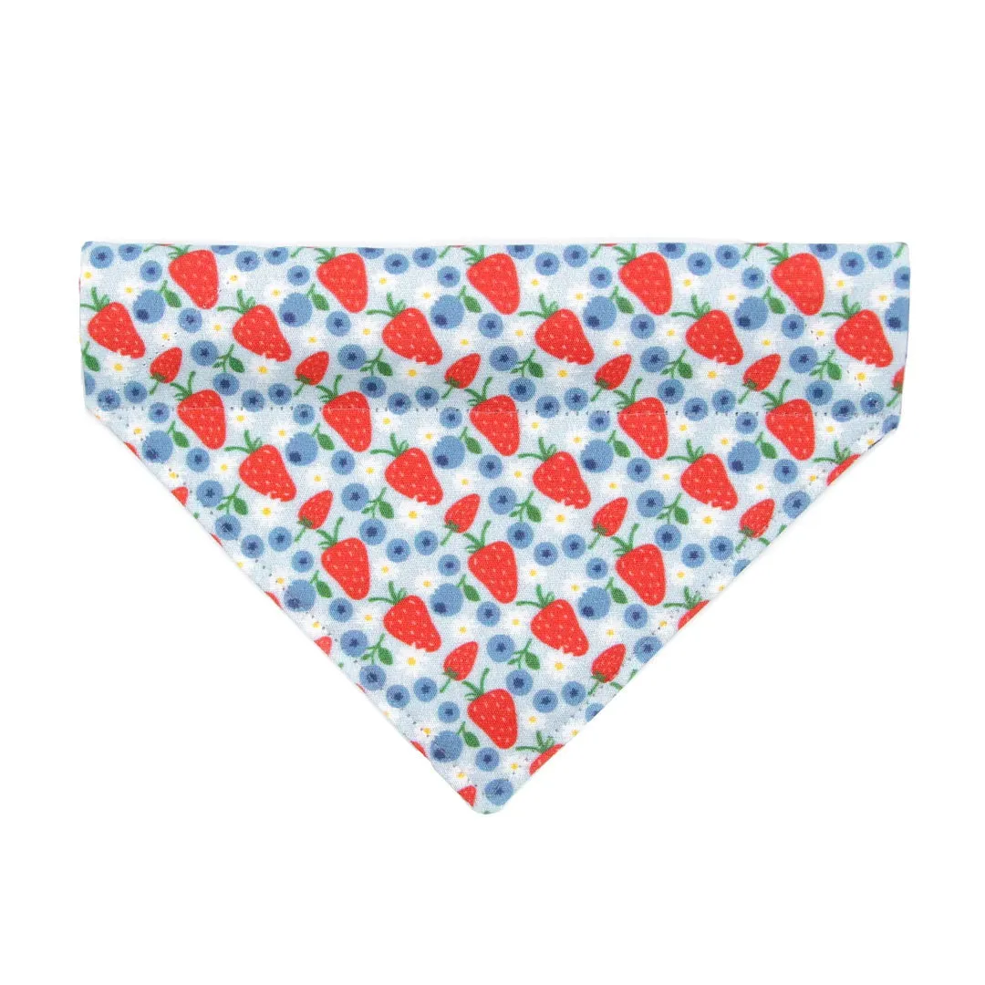 Cat Bandana - "Berry Bramble" - Blueberry Bandana for Cat   Small Dog/Summer, Patriotic, Blue, 4th of July, Strawberry Fruit Cat Bandana