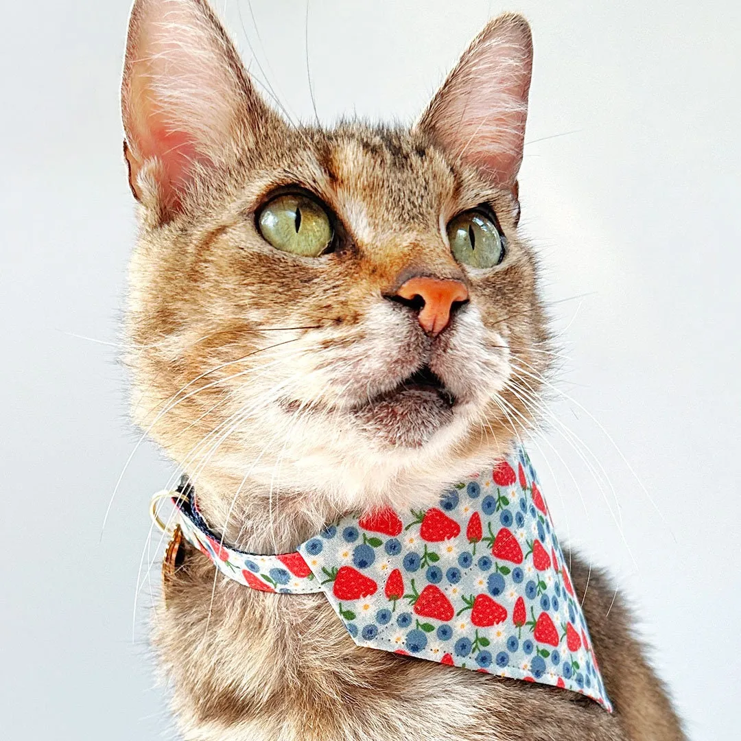 Cat Bandana - "Berry Bramble" - Blueberry Bandana for Cat   Small Dog/Summer, Patriotic, Blue, 4th of July, Strawberry Fruit Cat Bandana