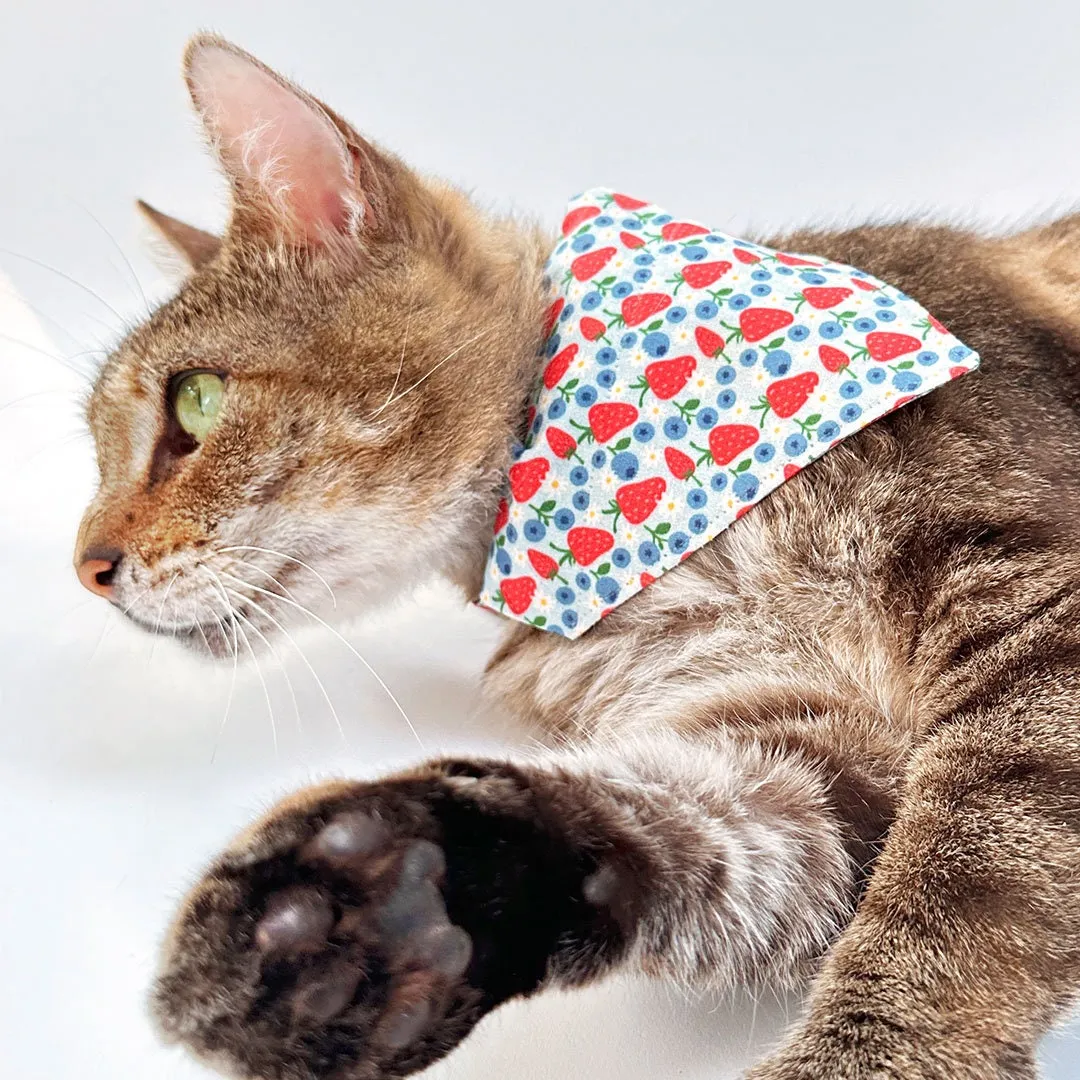 Cat Bandana - "Berry Bramble" - Blueberry Bandana for Cat   Small Dog/Summer, Patriotic, Blue, 4th of July, Strawberry Fruit Cat Bandana