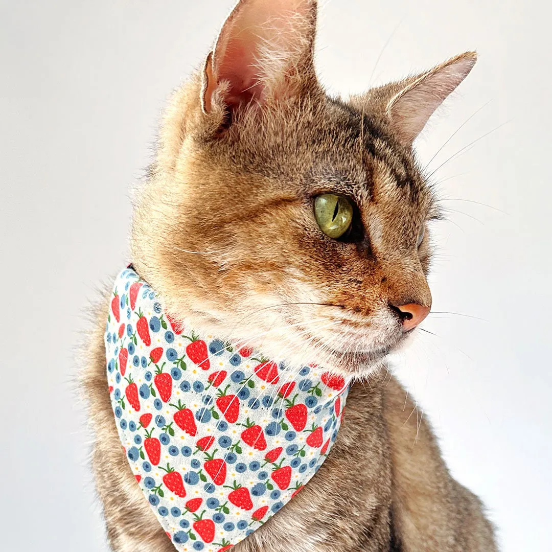 Cat Bandana - "Berry Bramble" - Blueberry Bandana for Cat   Small Dog/Summer, Patriotic, Blue, 4th of July, Strawberry Fruit Cat Bandana