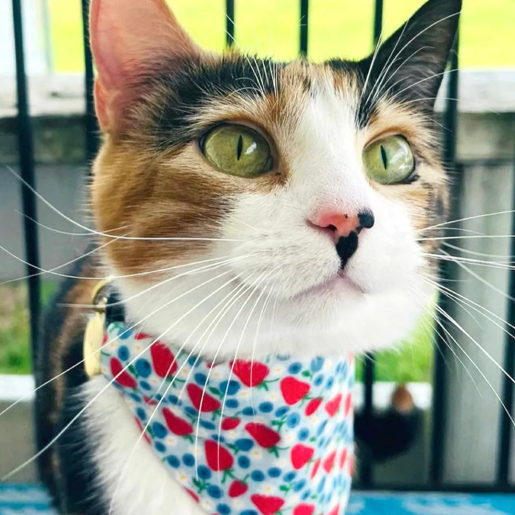 Cat Bandana - "Berry Bramble" - Blueberry Bandana for Cat   Small Dog/Summer, Patriotic, Blue, 4th of July, Strawberry Fruit Cat Bandana