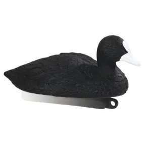 Coot Plastic Decoy