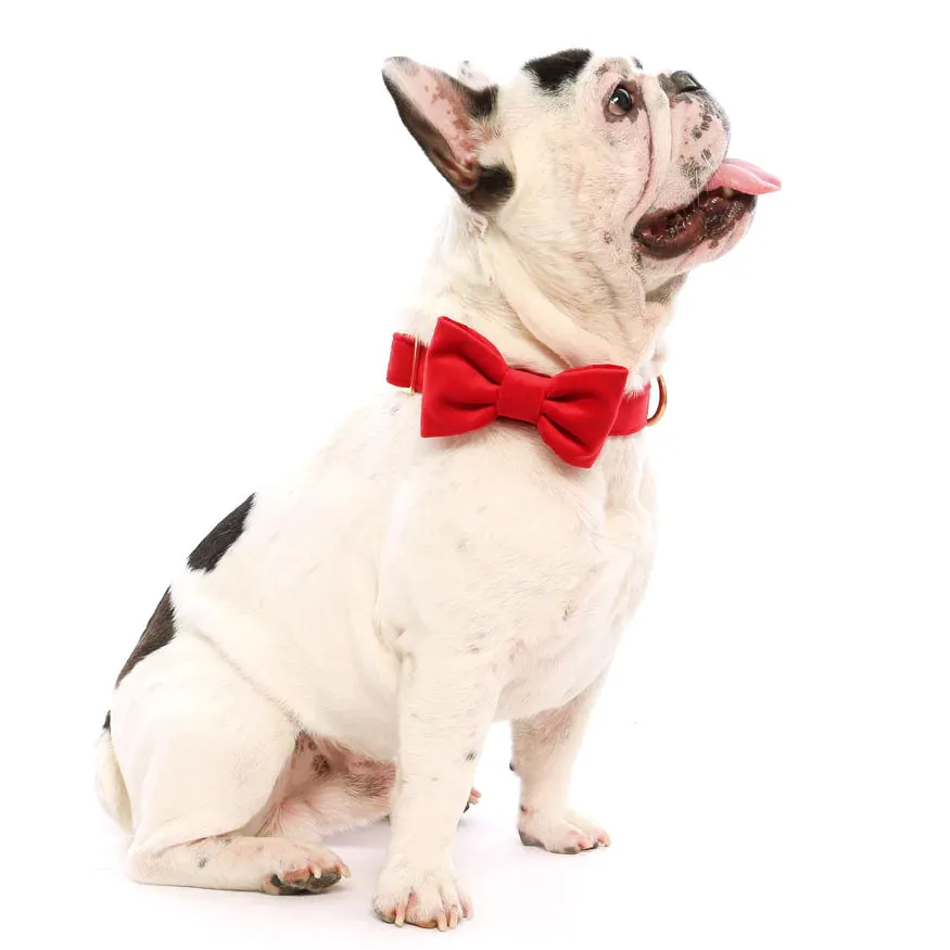 Dog and Cat Bowtie: Cranberry Velvet