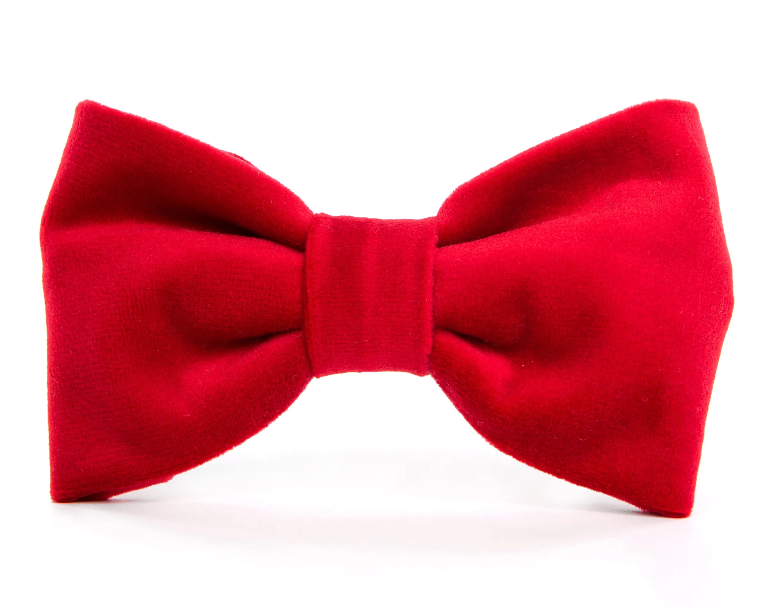 Dog and Cat Bowtie: Cranberry Velvet