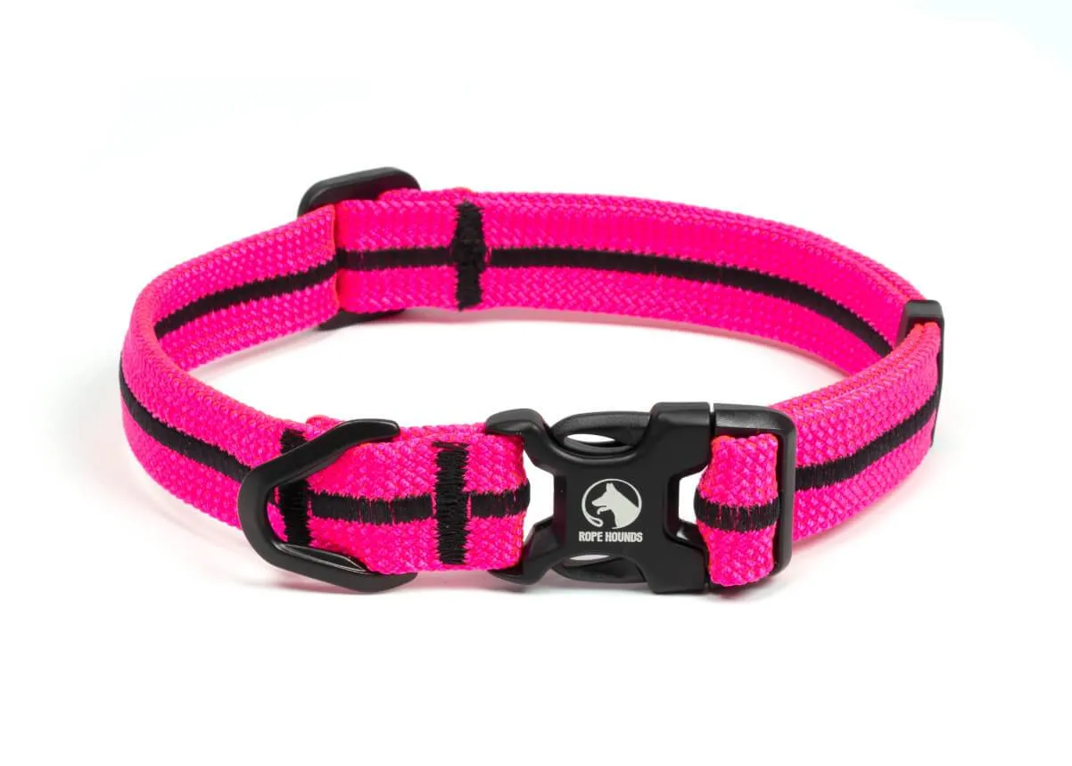 Fi Compatible Collar Band - Pinks/Purples