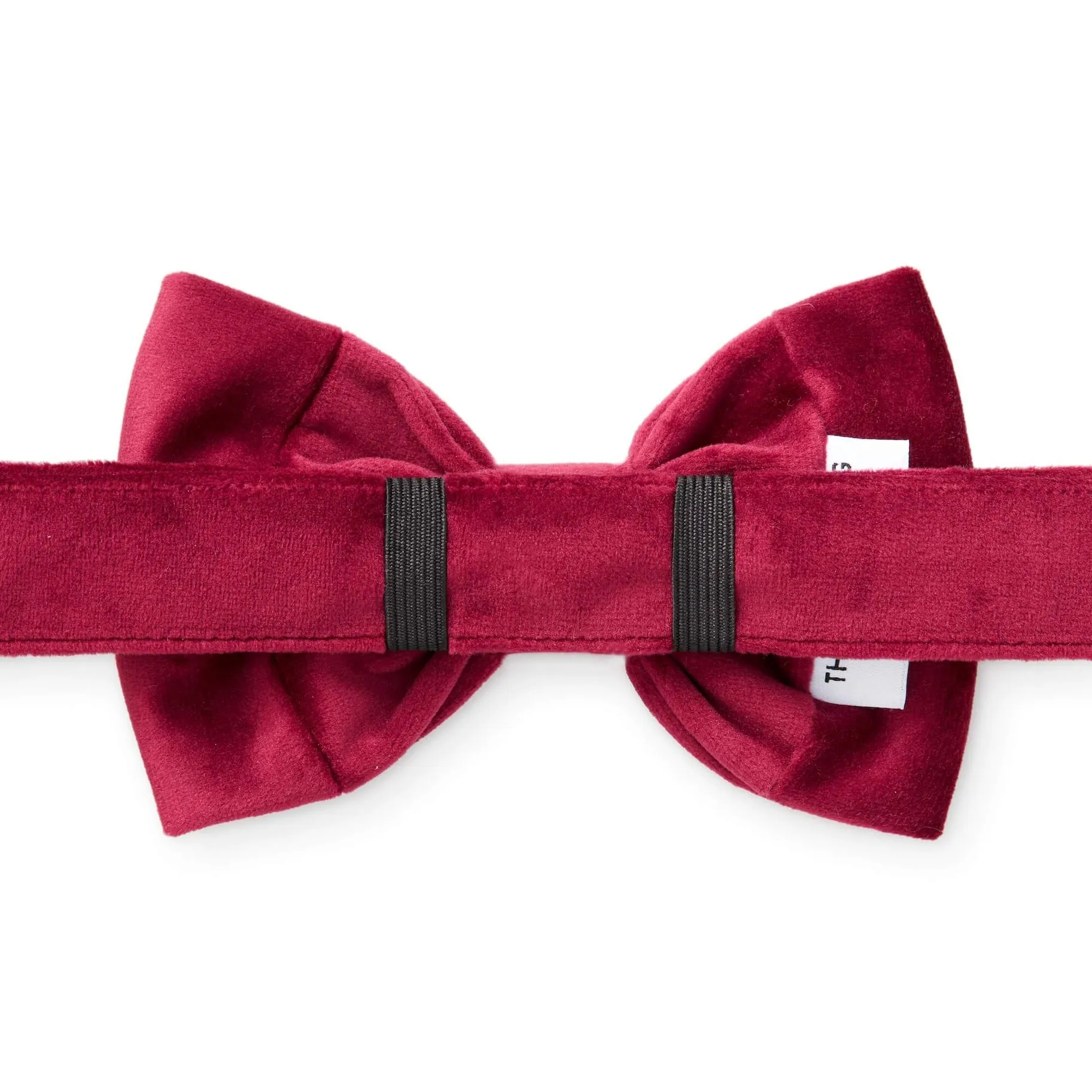 Foggy Dog Burgundy Velvet Bow Tie