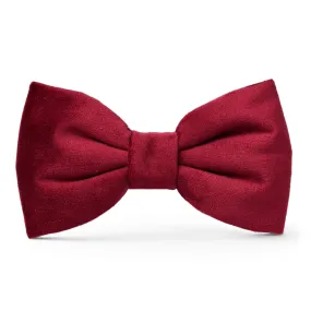 Foggy Dog Burgundy Velvet Bow Tie