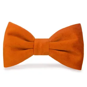 Foggy Dog Pumpkin Velvet Dog Bow Tie