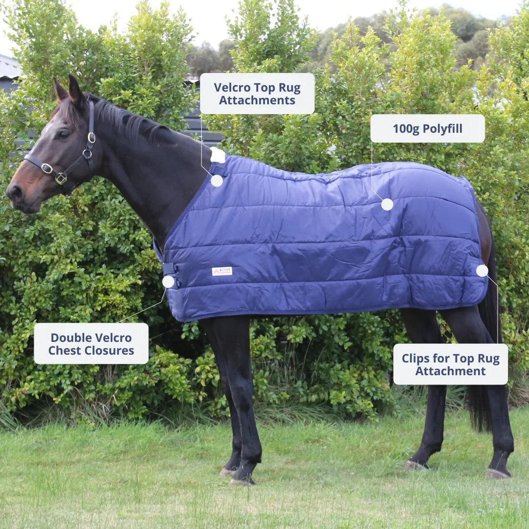 Horse Rug Liner 100g