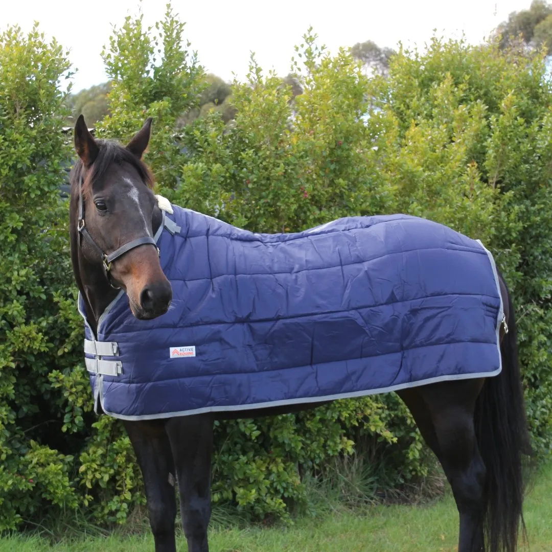 Horse Rug Liner 200g