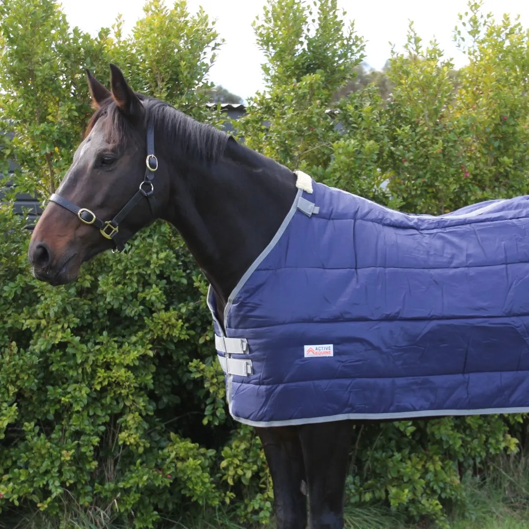 Horse Rug Liner 200g