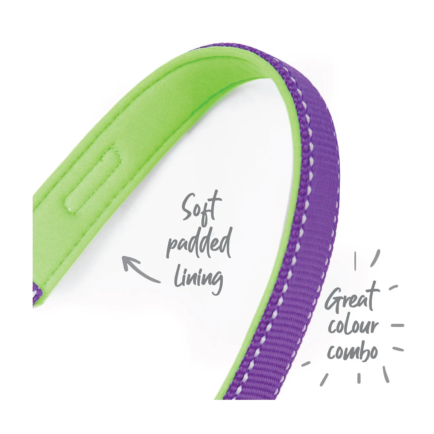 Kazoo Active Dog Collar Purple & Lime