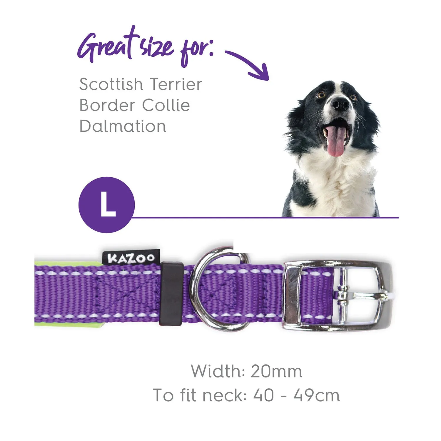 Kazoo Active Dog Collar Purple & Lime