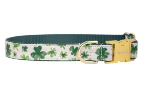 Paddy Party Dog Collar