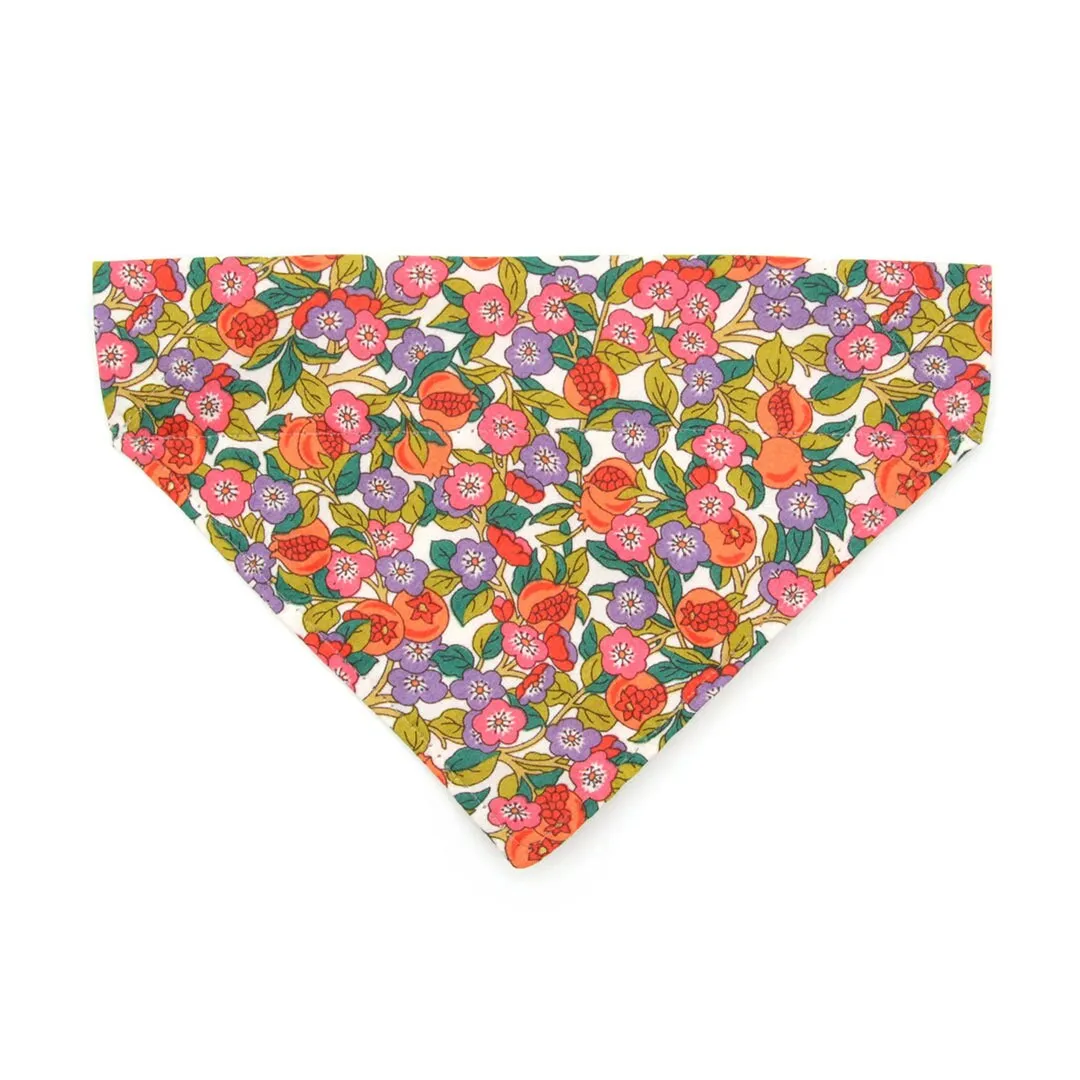 Pet Bandana - "Ambrosia" - Liberty Of London® Floral Bandana for Cat   Small Dog / Purple, Green & Orange / Slide-on Bandana / Over-the-Collar (One Size)