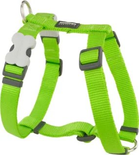 Red Dingo Harness Lime Green Small 15mm