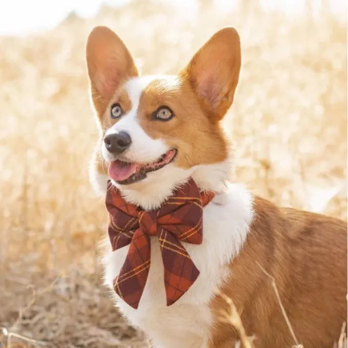 The Foggy Dog - Cider Plaid Lady Bow Tie