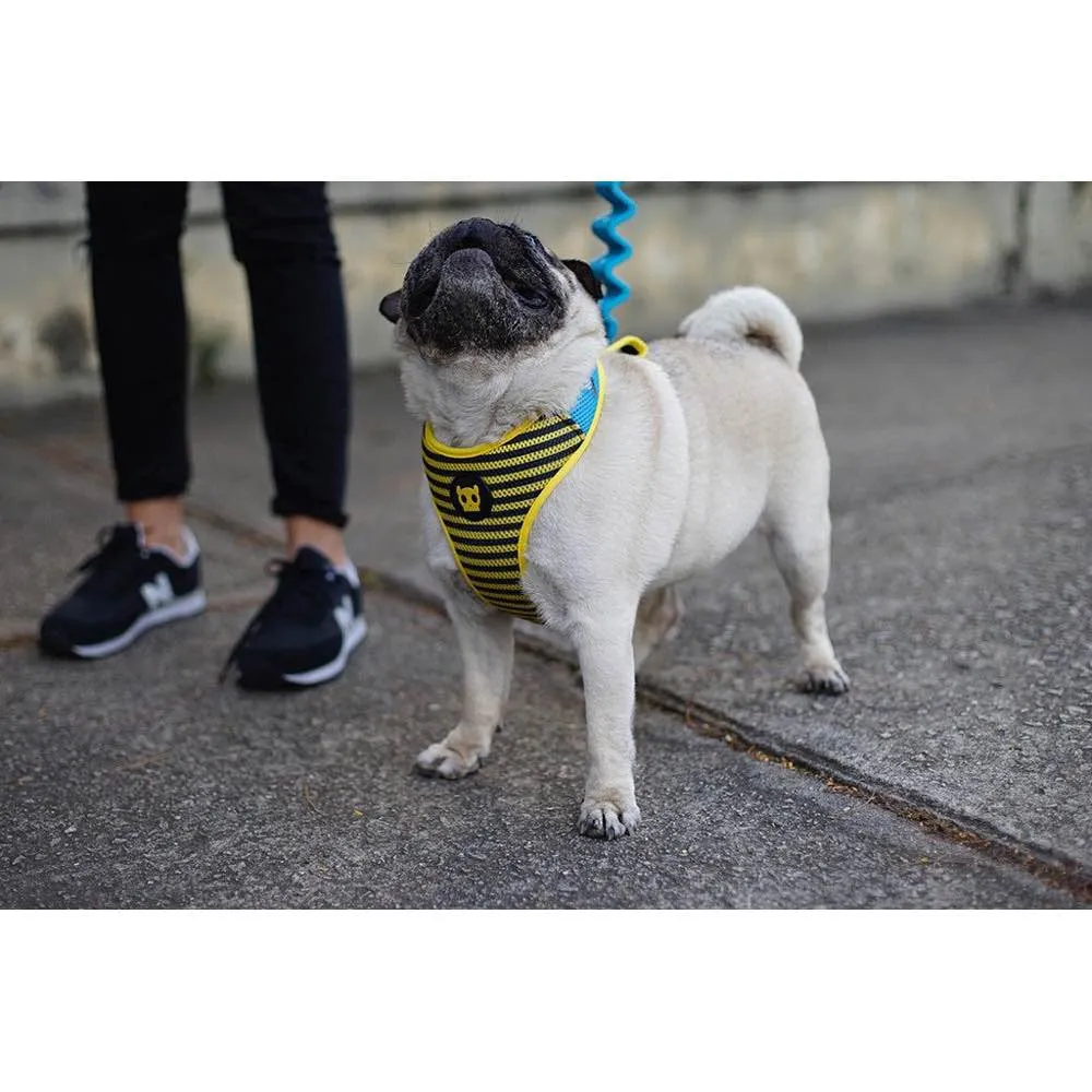 Zee.Dog Buzz Air Mesh Plus Dog Harness